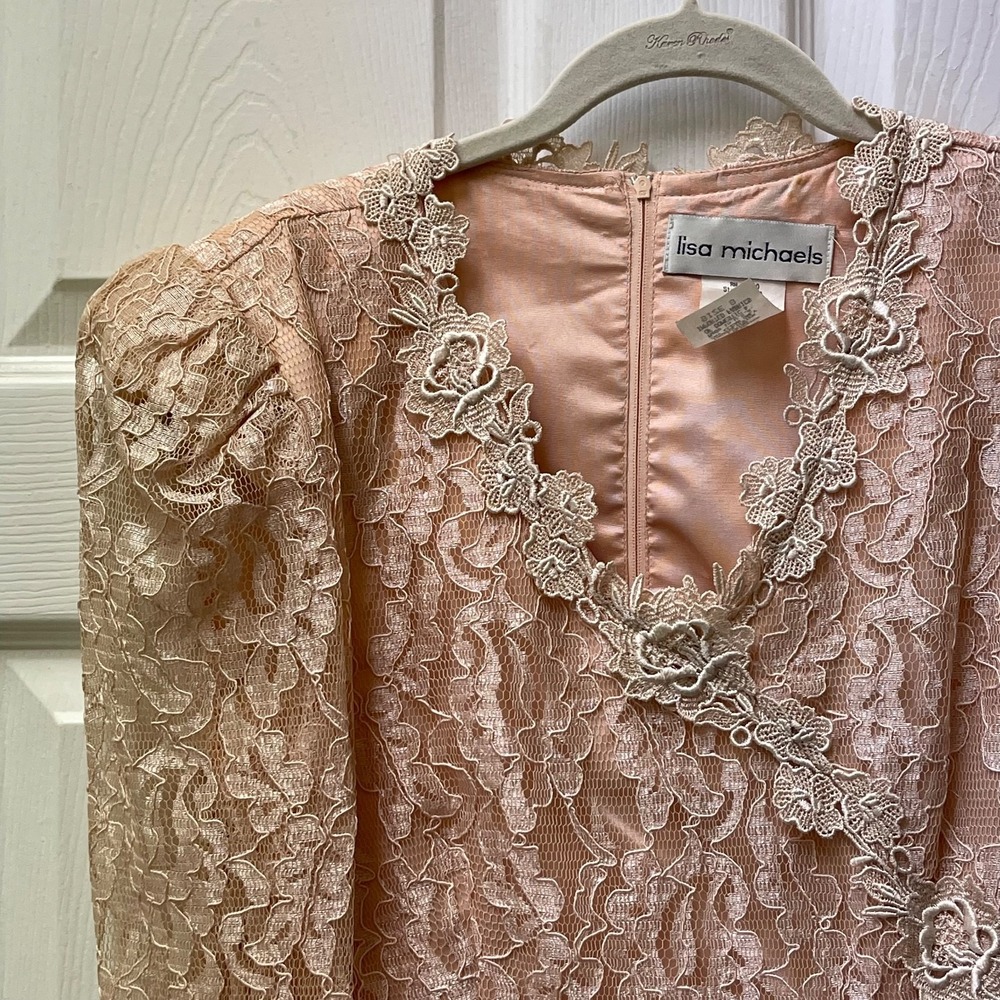 Vintage Lisa Michaels Sz 8 Pink Lace Drop‎ Waist Bow Chiffon L/S Neck Gown